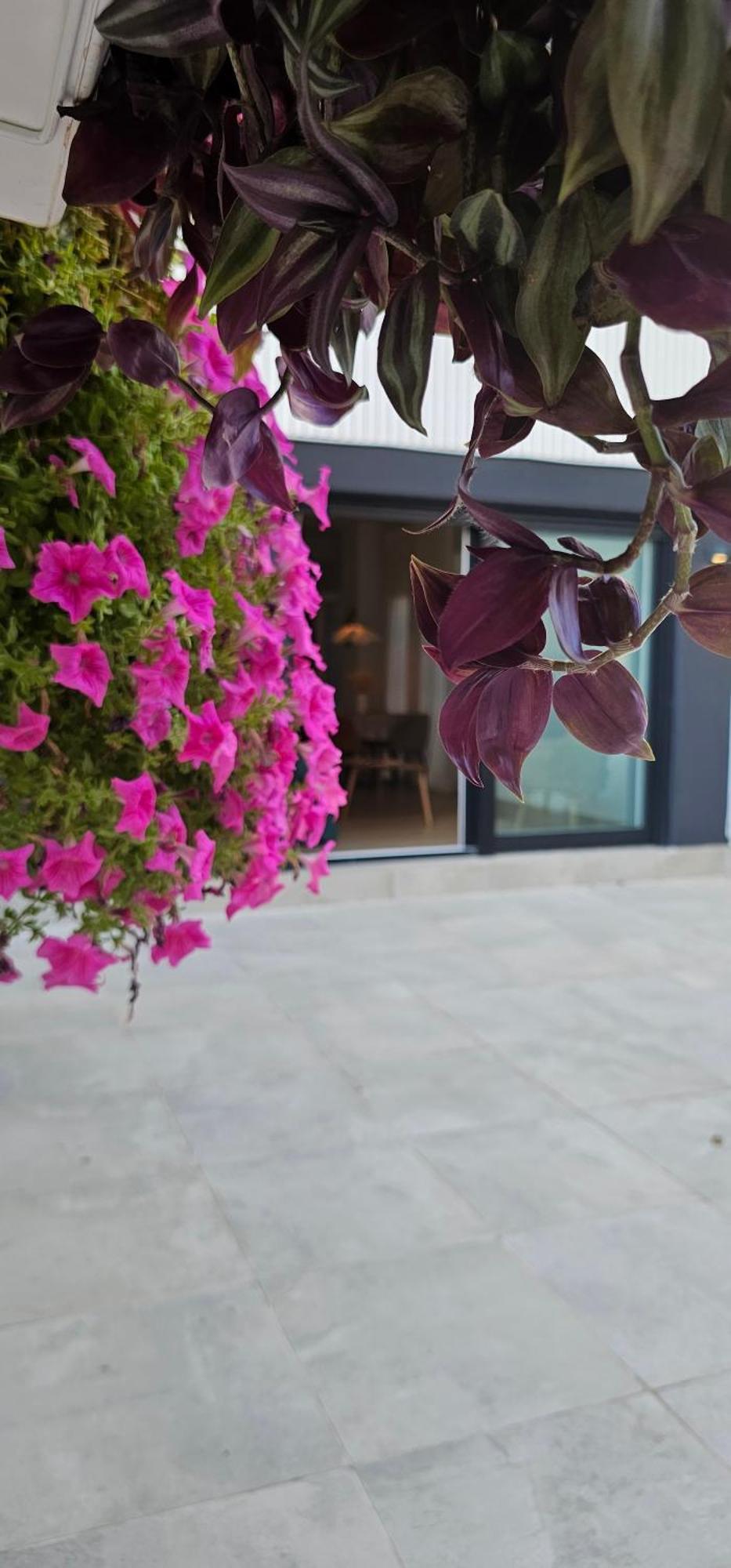 Albayda Garden Apartment Granada Exterior photo